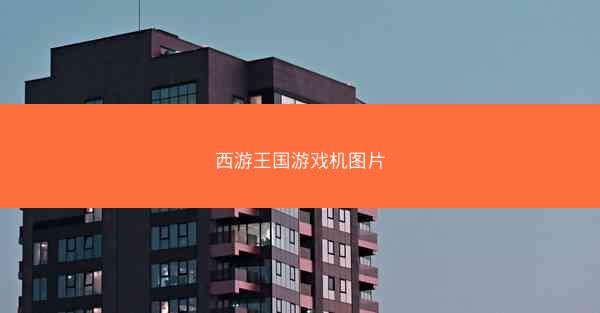 西游王国游戏机图片