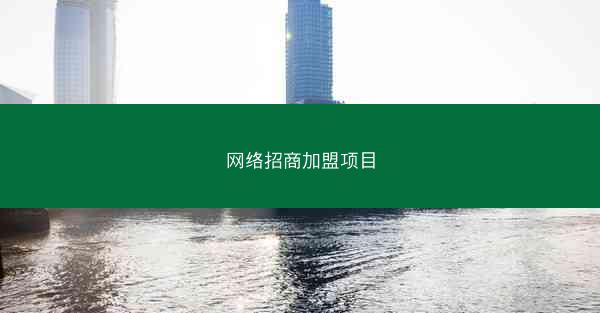 网络招商加盟项目