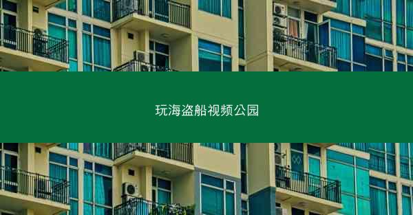 玩海盗船视频公园