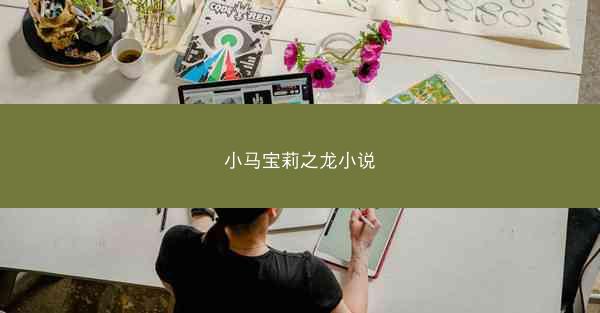 小马宝莉之龙小说
