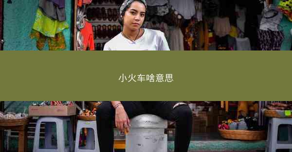 小火车啥意思