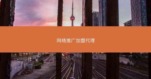 网络推广加盟代理