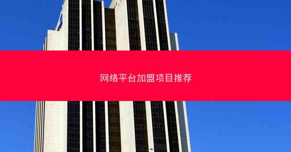 网络平台加盟项目推荐