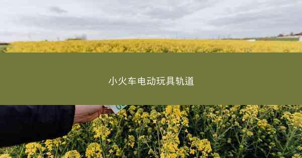 小火车电动玩具轨道