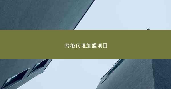 网络代理加盟项目