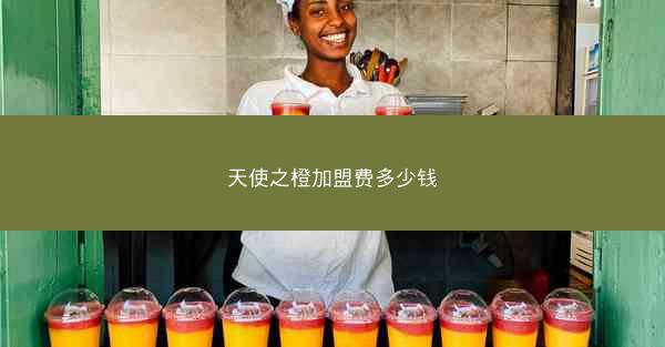 天使之橙加盟费多少钱