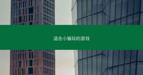 适合小猫玩的游戏