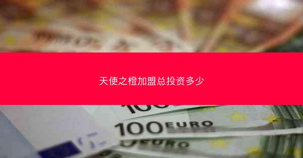 天使之橙加盟总投资多少